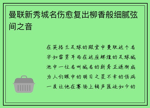 曼联新秀城名伤愈复出柳香般细腻弦间之音